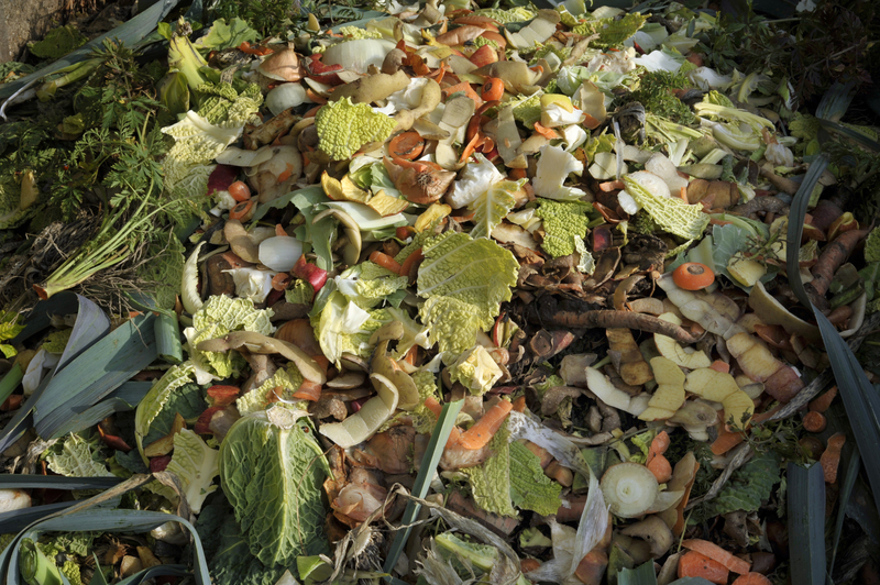How Smart Packaging Can Revolutionize Cardboard Disposal