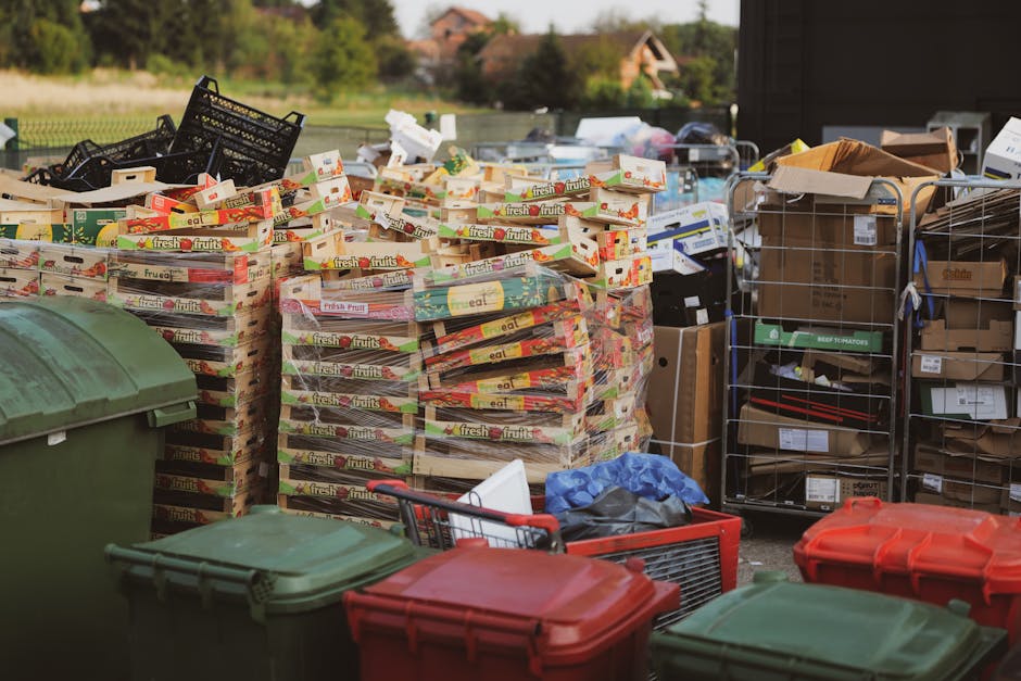 Same day rubbish collection Osterley avoid delays